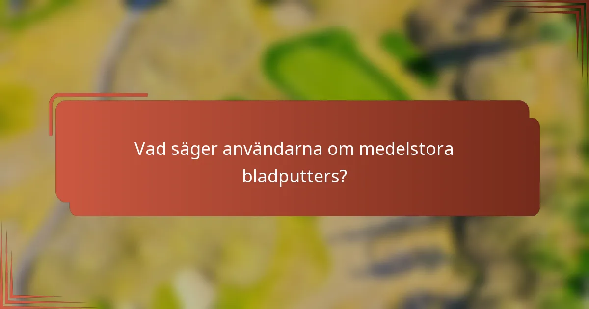 Vad säger användarna om medelstora bladputters?