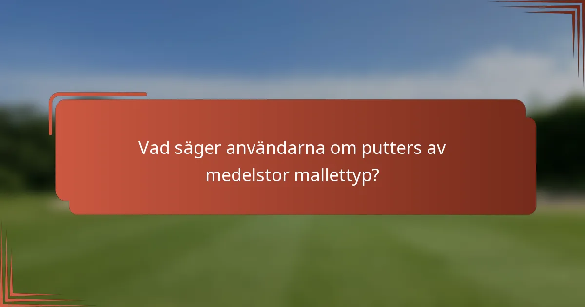 Vad säger användarna om putters av medelstor mallettyp?
