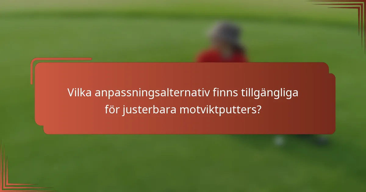 Vilka anpassningsalternativ finns tillgängliga för justerbara motviktputters?
