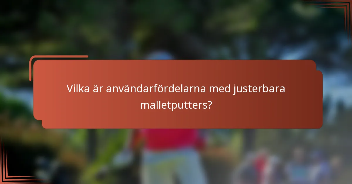 Vilka är användarfördelarna med justerbara malletputters?