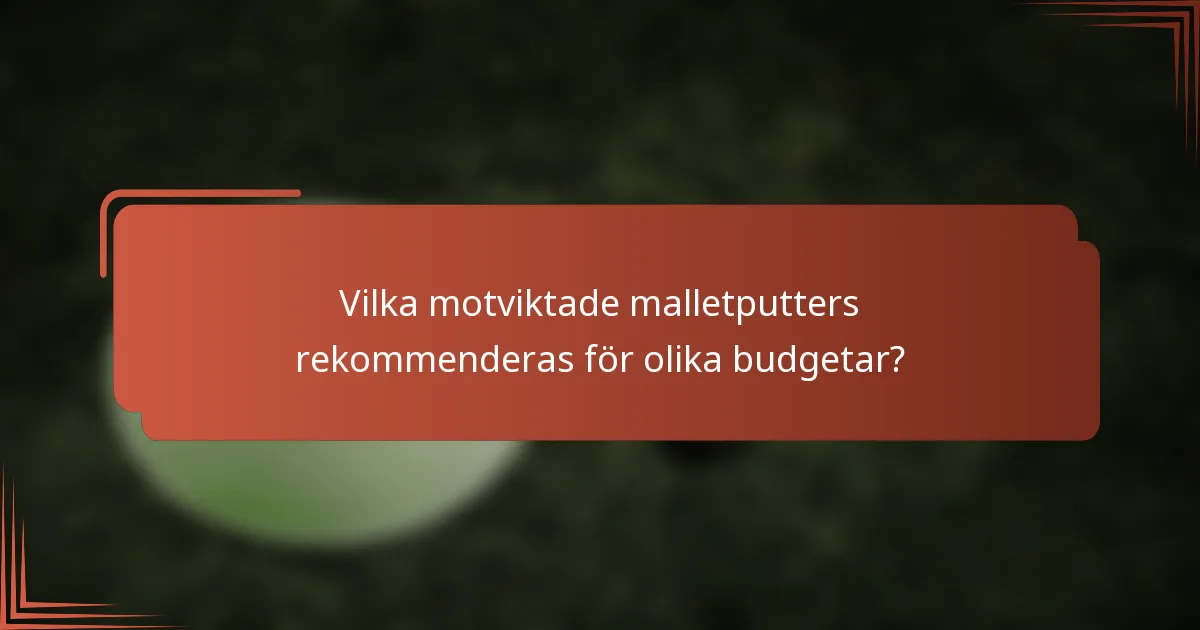 Vilka motviktade malletputters rekommenderas för olika budgetar?