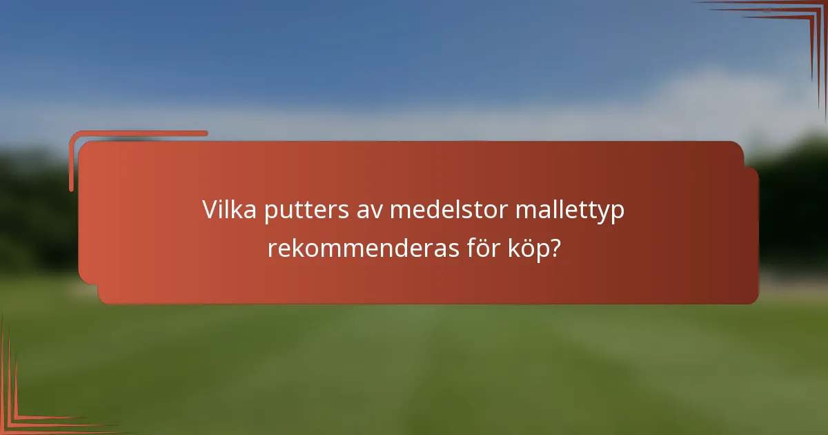 Vilka putters av medelstor mallettyp rekommenderas för köp?