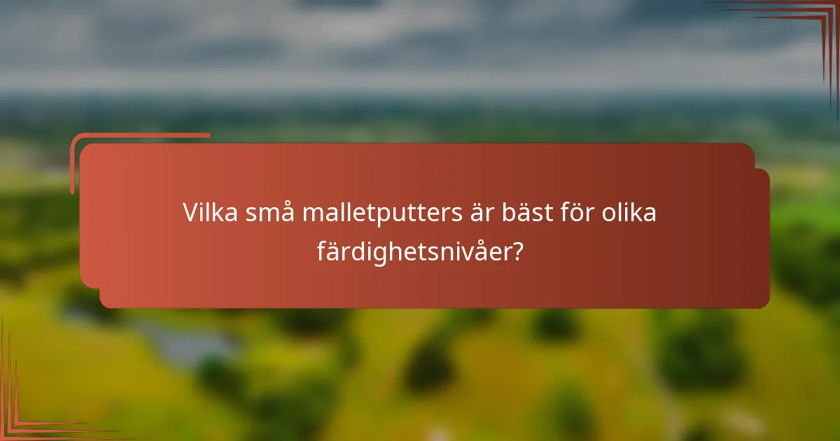 Vilka små malletputters är bäst för olika färdighetsnivåer?